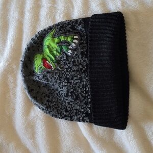 Boys  Dinosaur Beanie‎